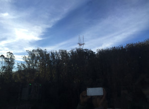 Sutro Tower and Sutro cloud forest